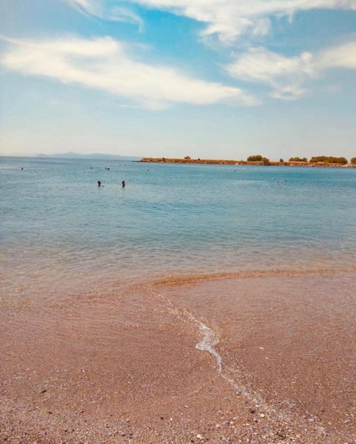 Modern Apt In Glyfada A Breath Away From The Sea - The View 雅典 外观 照片